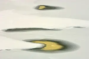 Pools Prints: DDE-90028392