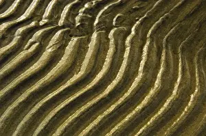 Ripples Prints: DDE-90028395