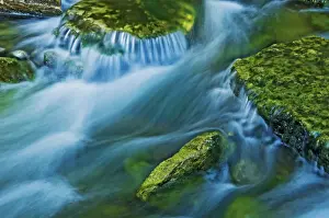 Rapids Prints: DDE-90028396