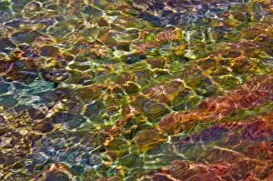 DDE-90028406