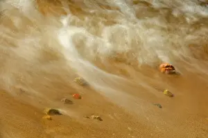 Waves Prints: DDE-90028407