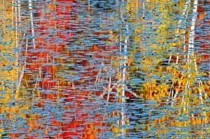 Colored Prints: DDE-90028409