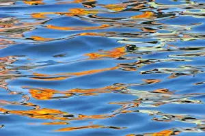Ontario Prints: DDE-90028425