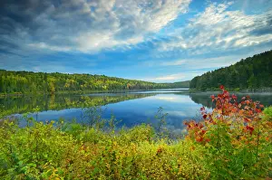 Algonquin Prints: DDE-90028435