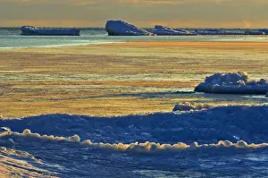 Mike Prints: DDE-90028442