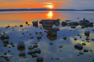 Mike Prints: DDE-90028451