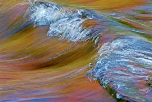 Rapid Prints: DDE-90028494