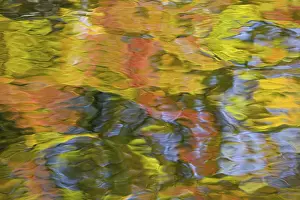 Reflecting Prints: DDE-90028502