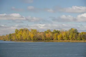 Riverside Prints: DDE-90028519