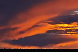 Mike Prints: DDE-90028571