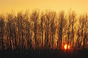 Backlit Prints: DDE-90028574