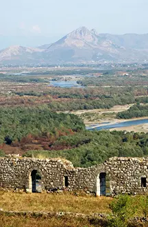 Fortified Prints: DDE-90028667
