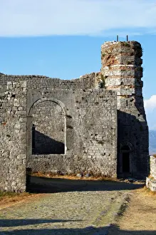 Fortified Prints: DDE-90028671