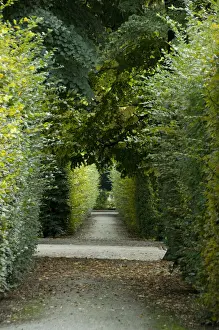 Walkway Prints: DDE-90028716