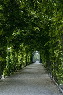 Walkway Prints: DDE-90028717
