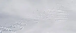 Skiing Prints: DDE-90028785