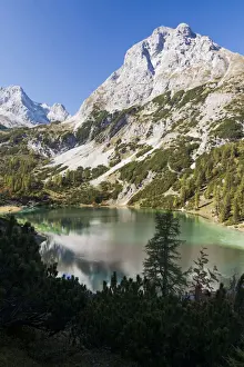 Hiking Prints: DDE-90028899