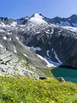 Austria Prints: DDE-90028989