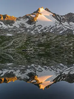 Austria Prints: DDE-90028994