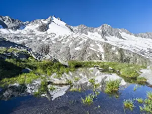 Austria Prints: DDE-90028996