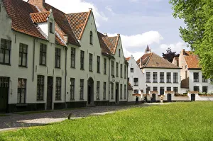 Belgium Collection: DDE-90029038