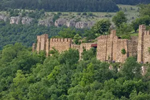 Bulgaria Prints: DDE-90029059