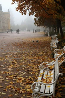 Images Dated 29th December 2011: DDE-90029062