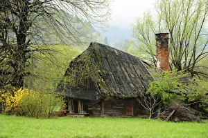 Chimney Prints: DDE-90029074