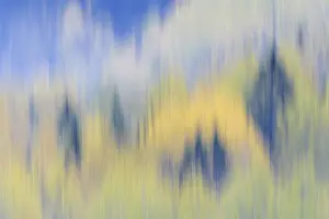 Finland Prints: DDE-90029130