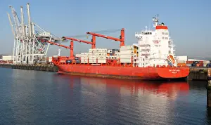 Container Prints: DDE-90029165