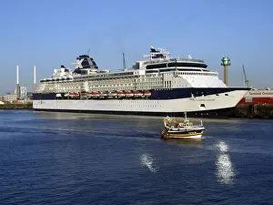 Cruise Prints: DDE-90029171