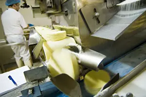 Production Prints: DDE-90029247
