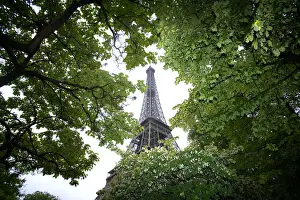 Eiffel Prints: DDE-90029333
