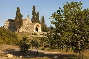 Rhone Prints: DDE-90029412