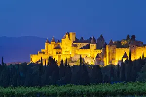 Fortified Prints: DDE-90029435