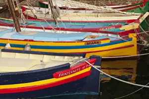 Sailboat Prints: DDE-90029456