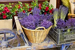 Cart Prints: DDE-90029568