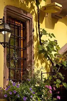 Window Prints: DDE-90029609