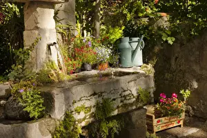 Provence Prints: DDE-90029687