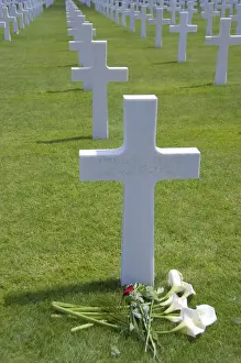 Grave Prints: DDE-90029779