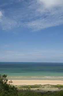 Oceanfront Prints: DDE-90029781