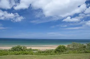 Oceanfront Prints: DDE-90029782