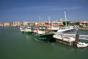 Vessel Prints: DDE-90029837