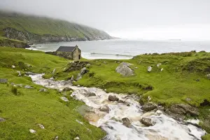 Cottage Prints: DDE-90031926