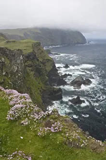 Irish Prints: DDE-90031930
