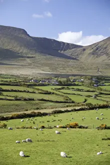 Ireland Prints: DDE-90031974