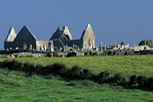 Cemetery Prints: DDE-90032007