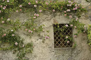 Window Prints: DDE-90032070