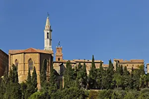 Pienza Prints: DDE-90032090