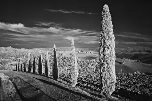 Drive Prints: DDE-90032107